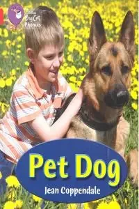 Pet dog